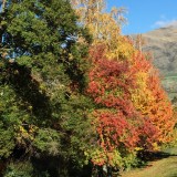 On The Road | Otago & Southland